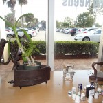 isabella-tailors-sewing-in-boca-raton